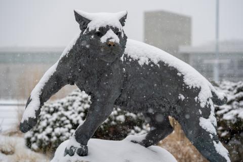 The UNH wildcat statue on a snowy day.