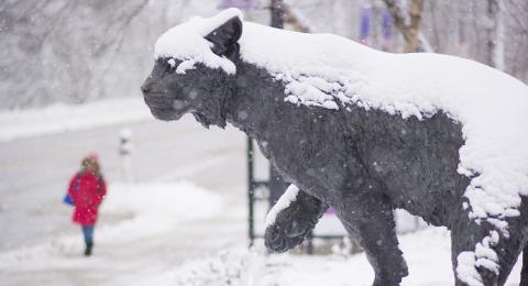 UNH Wildcat Statue in the winter