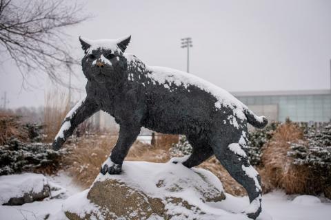 UNH Wildcat Sculpture in the snow