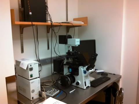 The Olympus IX81 inverted fluorescense/brightfield microscope.