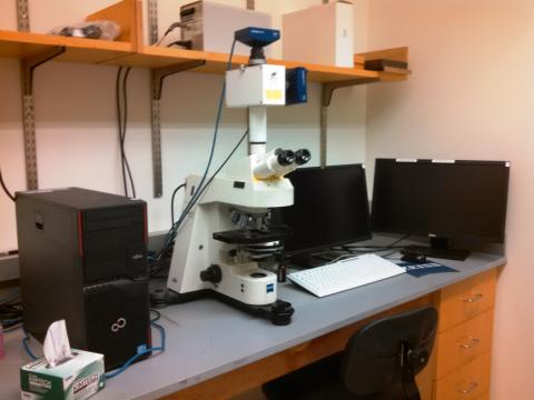 The Zeiss Axioplan 2 Imaging upright fluorescence/brightfield microscope.