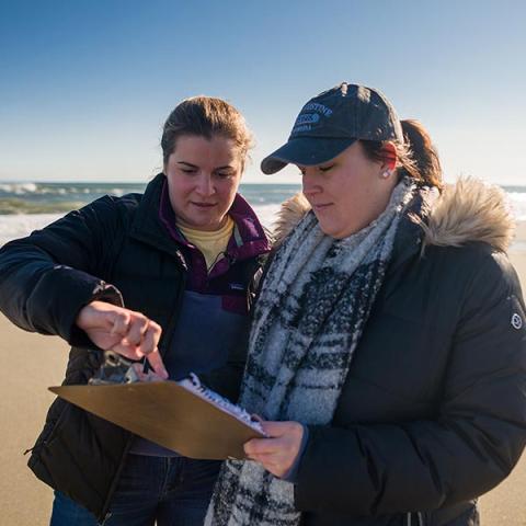 UNH ocean engineering students pointing at clipboard standing on beach
