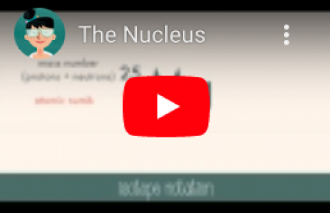 Atomic Structure - Teacher's Pet-The Nucleus