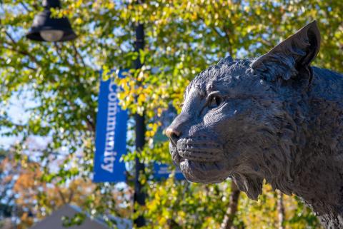 Wildcat statue on UNH Campus