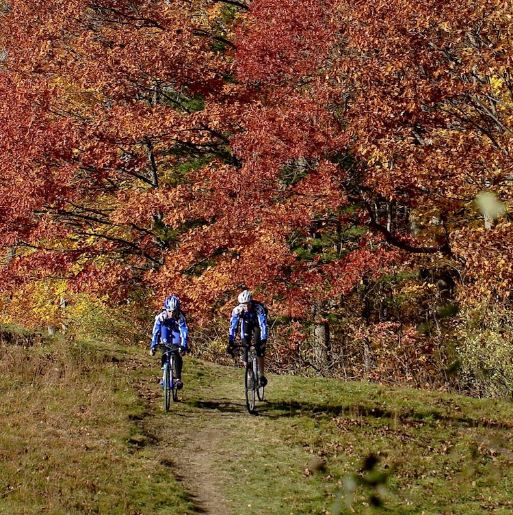 Students biking in the woods.