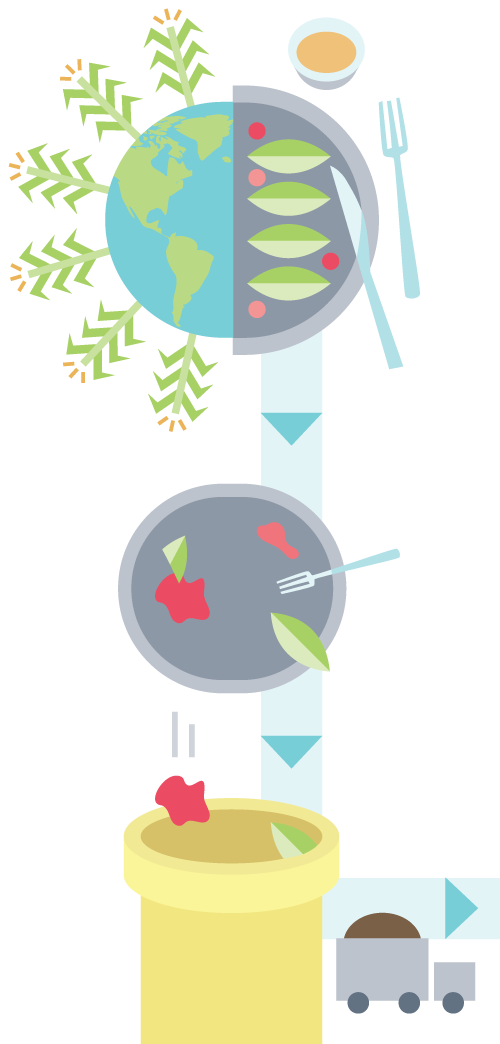illustration of food being grown, eaten and falling into a compost bucket