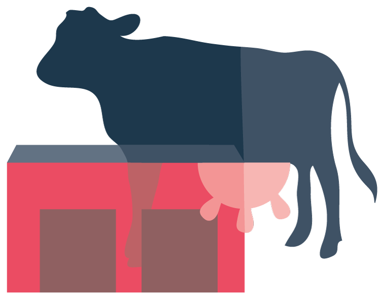 illustration of a cow and barn
