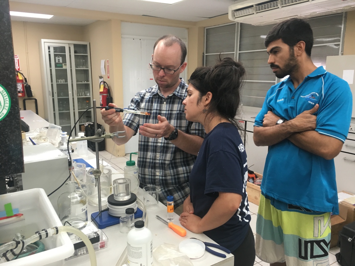 Chris Hunt examines water quality sample in a lab with two graduate students.