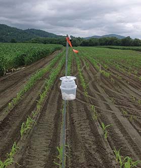 farm field