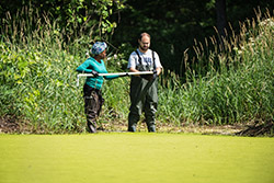 Sampling cyanobacteria in a New Hampshire pond.