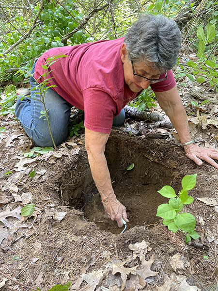 A woman in a red shirt leans over and digs in a hole as part of an archaeology project