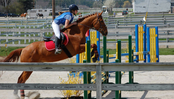 horse jumping