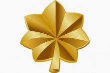 Major Insignia