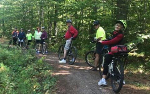 Bikers in a line on a forested trail