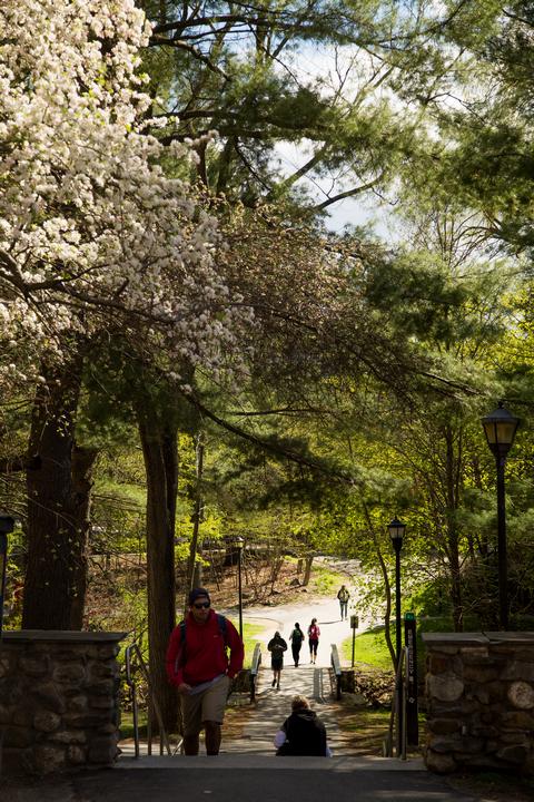 park scene