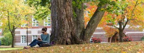 student under tree