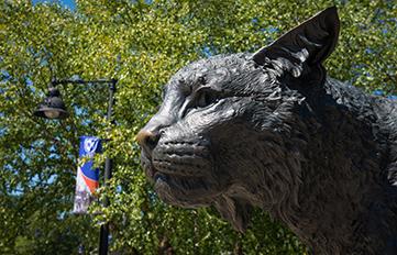 detail of wildcat statue