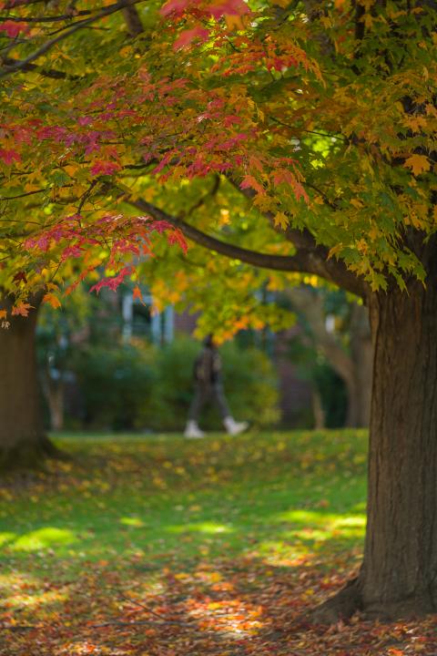 Image of University of New Hampshire's Durham campus where you can recruit UNH students!