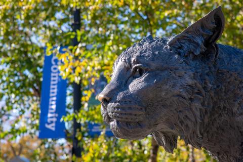 UNH Wildcat statue for decoration only