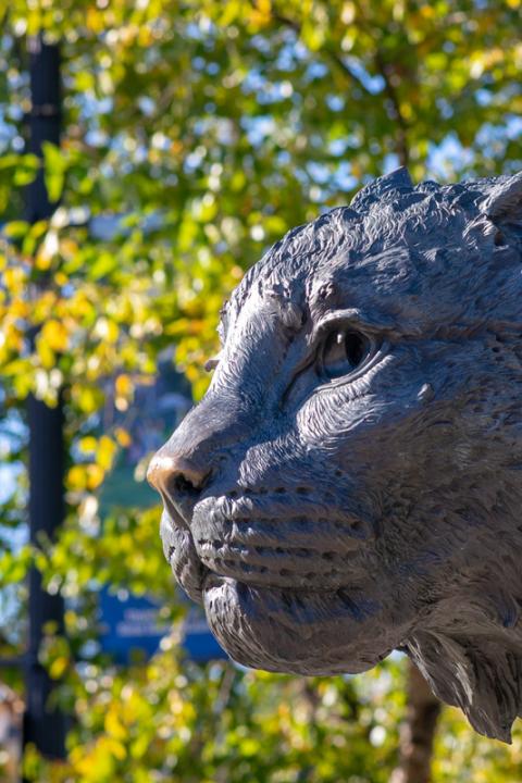 UNH Wildcat statue for decoration only