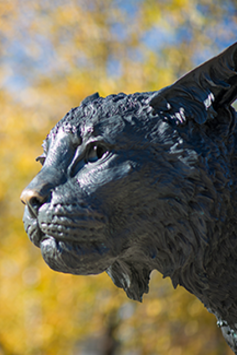 Placeholder Headshot - Image of UNH Wildcat Statue