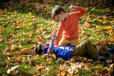 Brothers fighting in Leaves