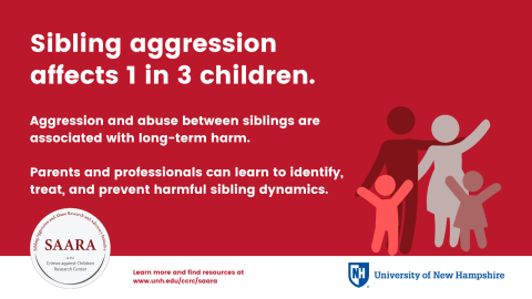 This infographic explains that sibling aggression is common, harmful, and preventable.