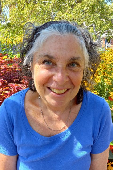 Lesley Stein photo