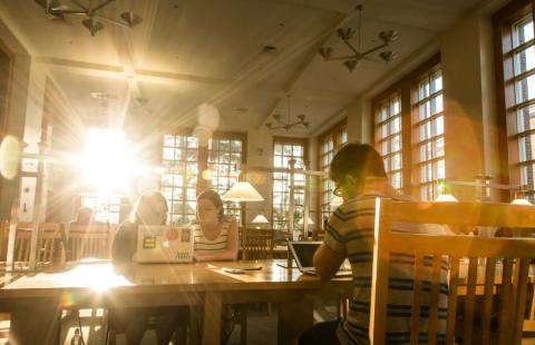 UNH Students studying in the library