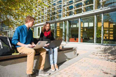 Students sitting outside using laptops