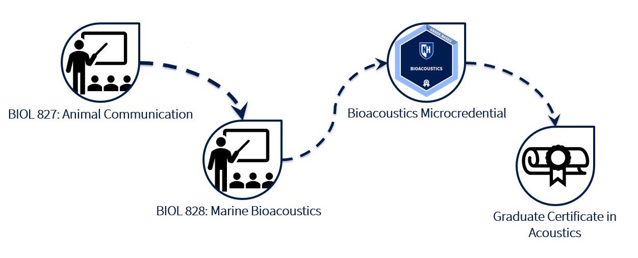 UNH Bioacoustics Microcredential Learning Pathway