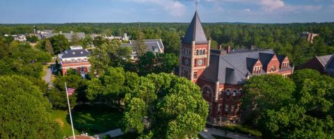 t-hall in summer
