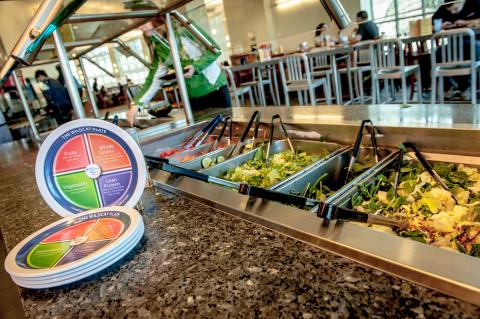 dining hall food and wildcat plate