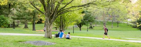 Spring Day on the Field on Campus