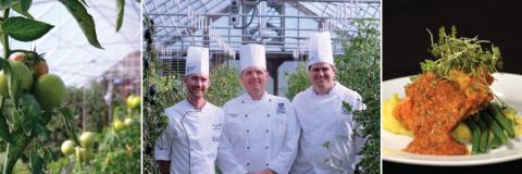 high tunnels photo with chef and Romesco sauce
