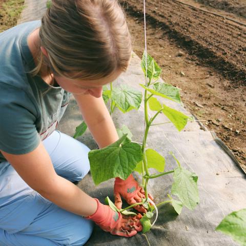 student with plant 