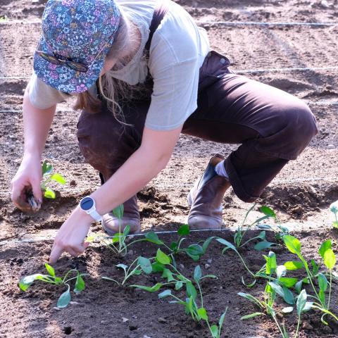 student with plant