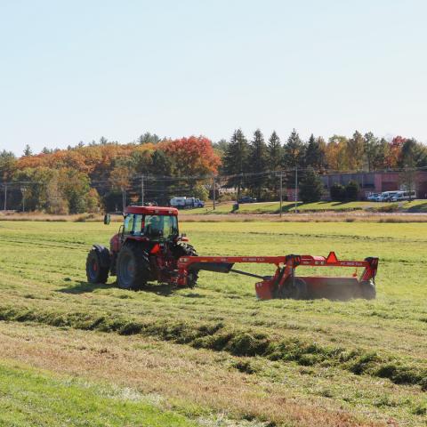 Tractor 