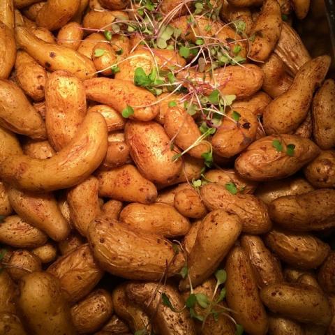 Roasted fingerling potatoes