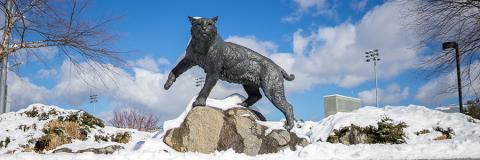 Wildcat Statue Snow