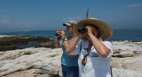 people looking through binoculars on the isles of shoals