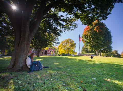 student sitting against tree on UNH campus