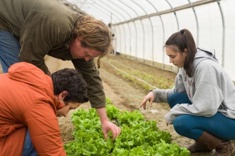 students and professor at the Fairchild Dairy Teaching and Research Center,