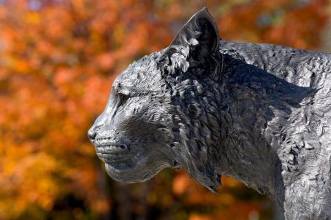 Side profile of wildcat statue