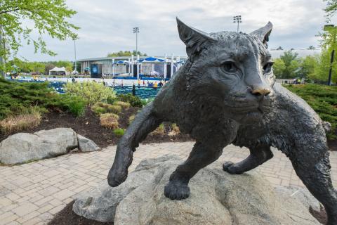 Wildcat Statue at commencement ceremony