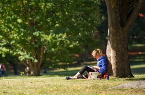 Student sits leaning against tree