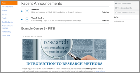 Example of Canvas course homepage