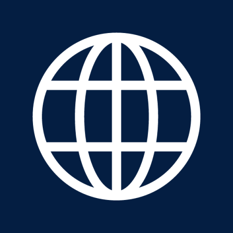 Icon of world wide net