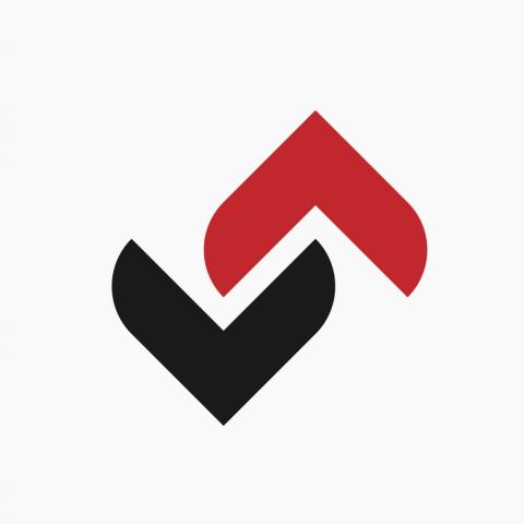 Sports Viso Inc. logo