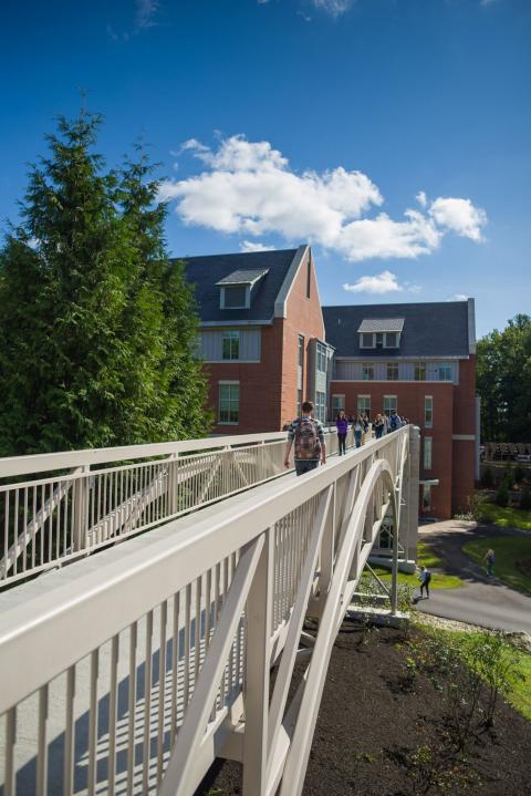 A view from the end of a bridge looking towards Hamilton Smith Hall